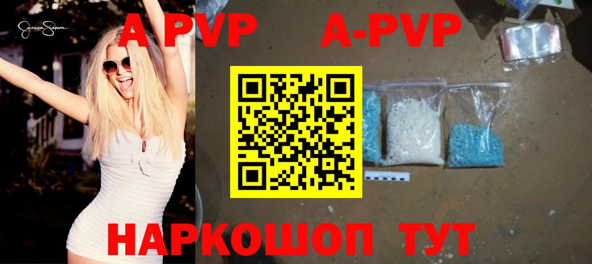 Alfa_PVP СК Владикавказ